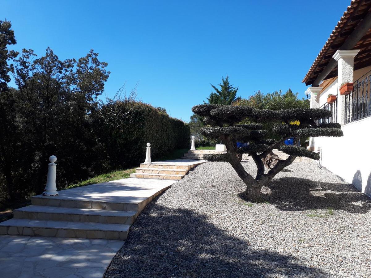 Bed and Breakfast L'Oustaou De L'Estama Rocbaron Exterior foto